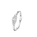 Naiomy Silver | Argent Blanc | N5D57