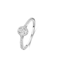 Naiomy Silver | Argent Blanc | N5D70