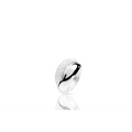 Naiomy Silver | Argent Blanc | N0P12